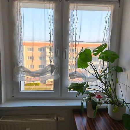 Richtig Wohlfuehlen Leicht Gemacht Apartament Chociebuż
