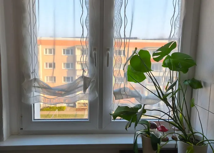 Richtig Wohlfuehlen Leicht Gemacht شقة كوتبوس